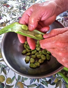 Contemplating liberation while podding fava beans on the Festa della Liberazione in Italy.