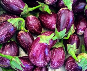 Creamy white and violet-striped eggplant have just started to appear in Martina Franca's fruit and vegetable market.